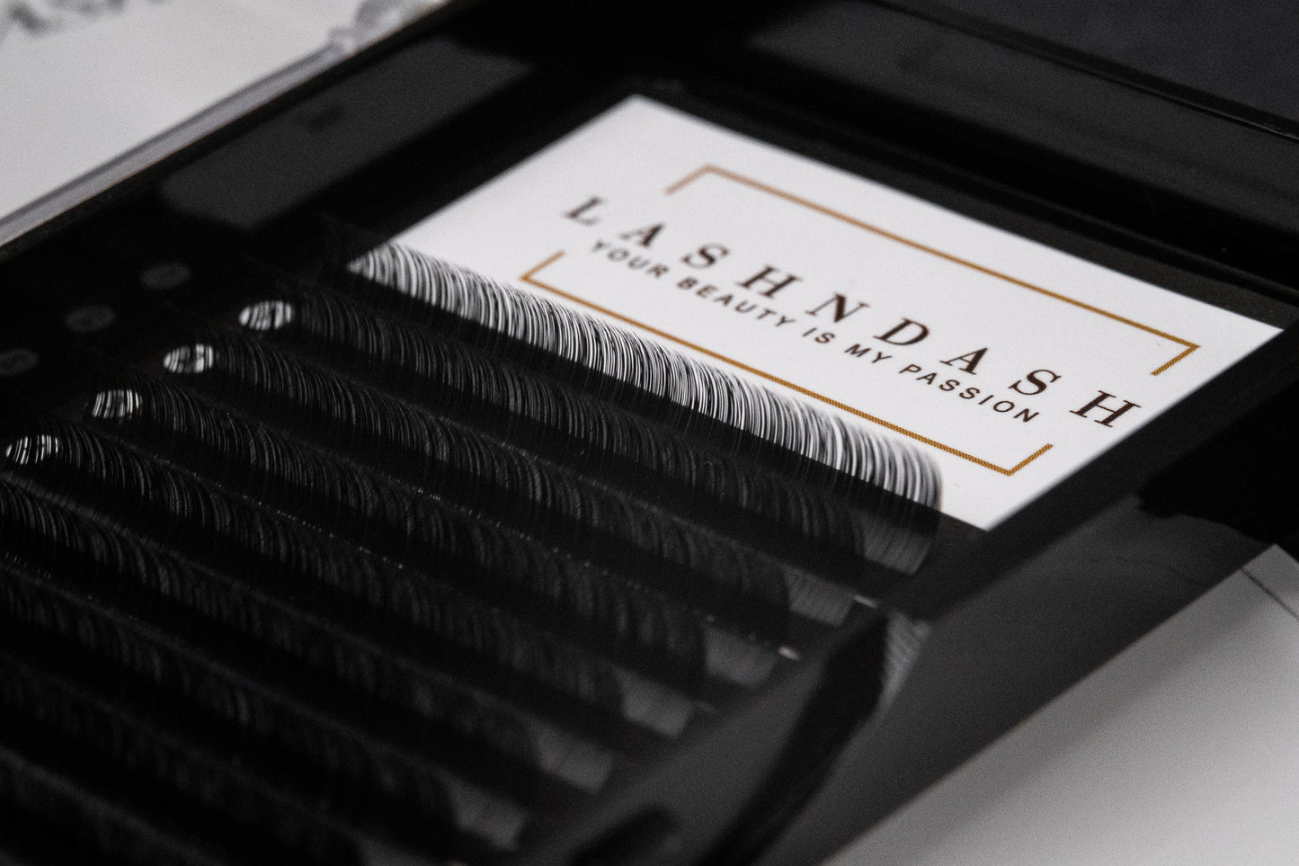 0.05 D- VOLUME SINGLE LENGTH LASHES- discontinued