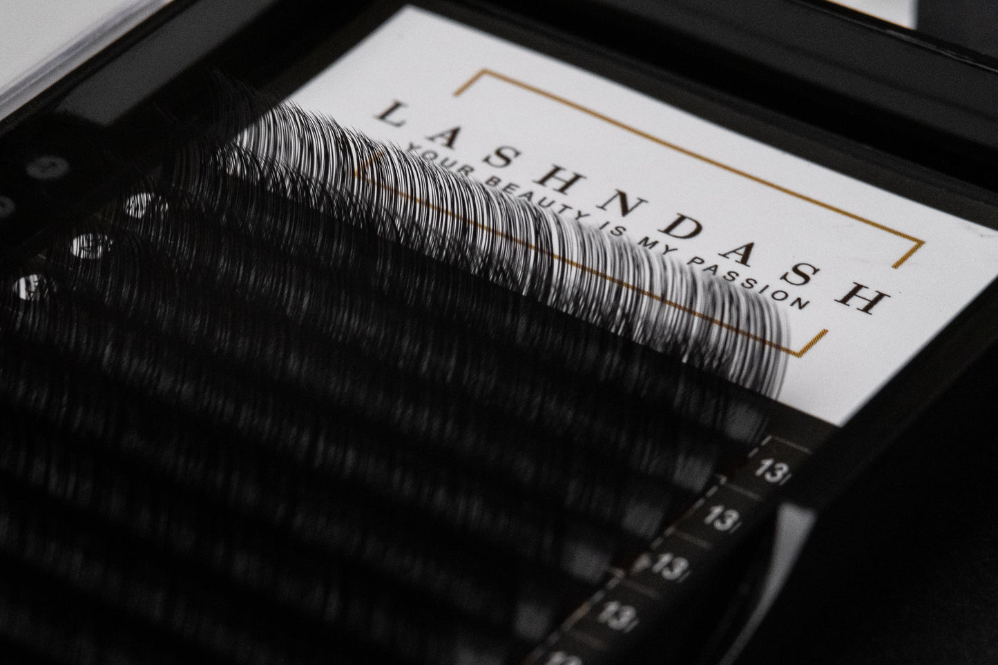0.05 D+ VOLUME SINGLE LENGTH LASHES- discontinued
